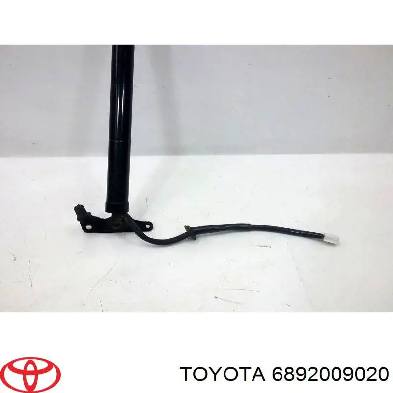 6891009053 Toyota amortiguador de maletero