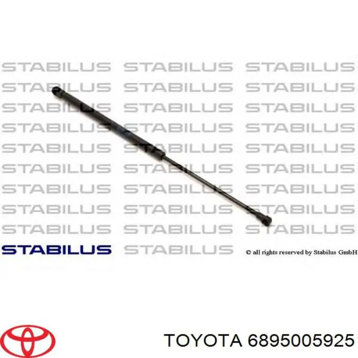 6895005925 Toyota amortiguador de maletero