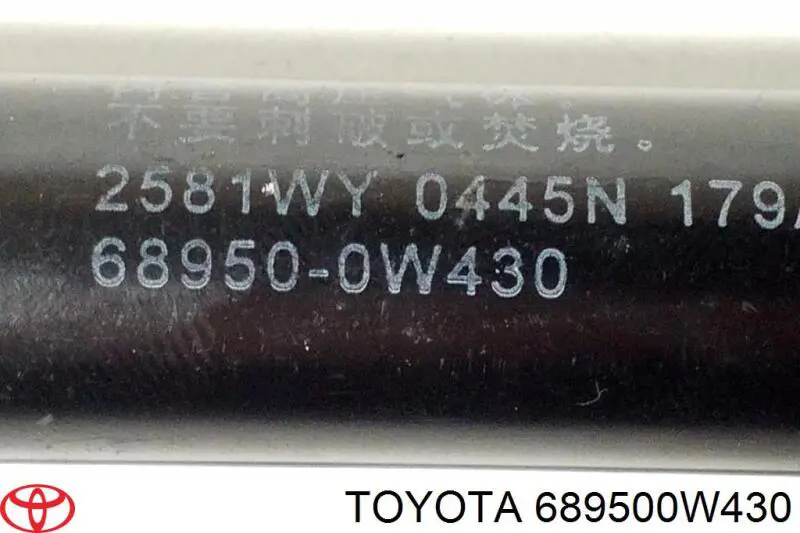 689600W430 Toyota amortiguador maletero