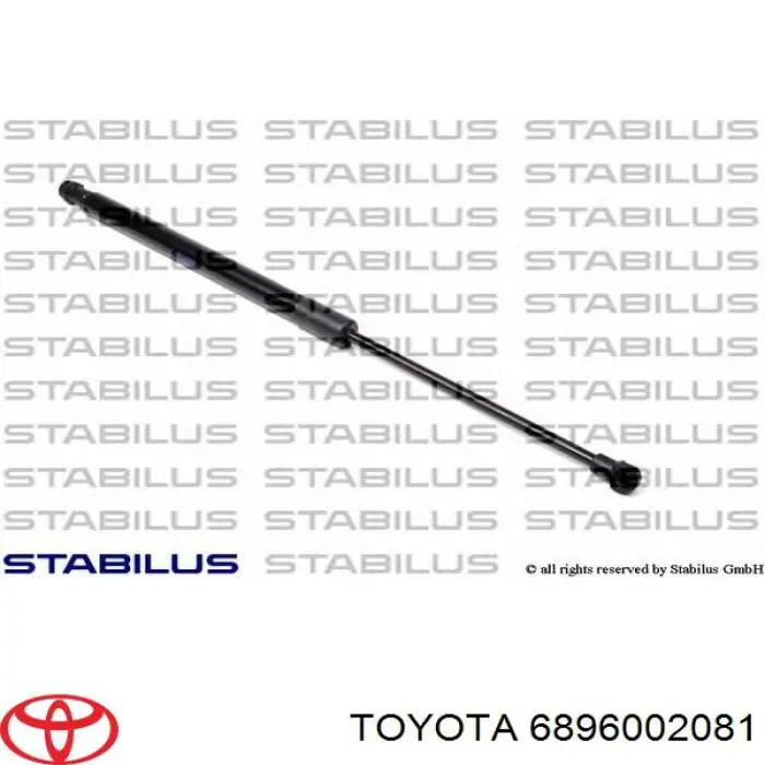 6896002081 Toyota Amortiguador de porton