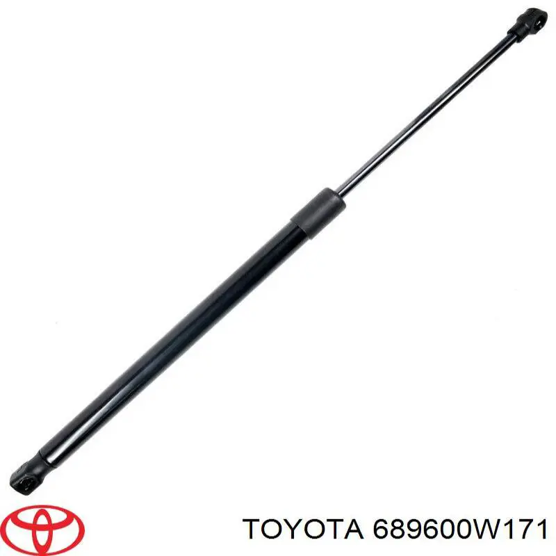 689600W171 Toyota