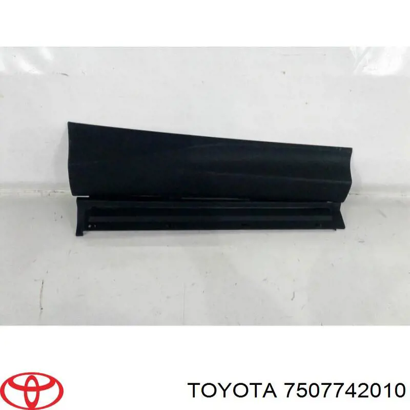 Moldura puerta trasera derecha para Toyota RAV4 (A4)