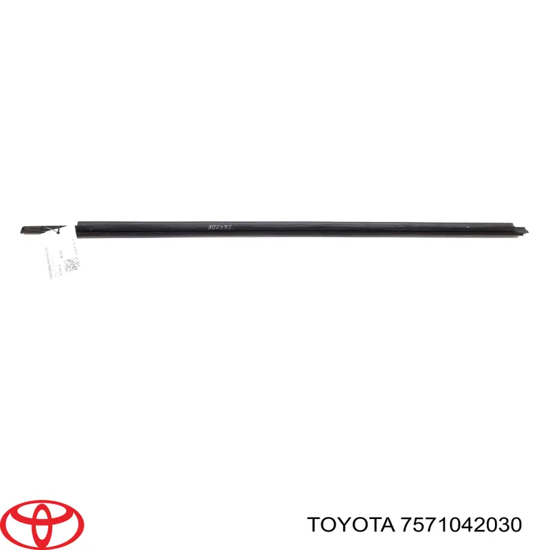 Lameluna de puerta delantera derecha exterior para Toyota RAV4 (A3)