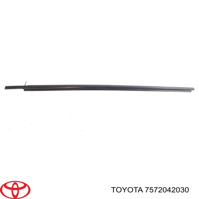 Lameluna de puerta delantera izquierda exterior para Toyota RAV4 (A3)