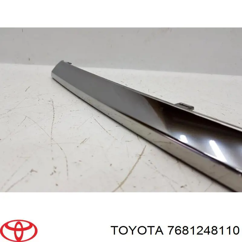 7681248110 Toyota