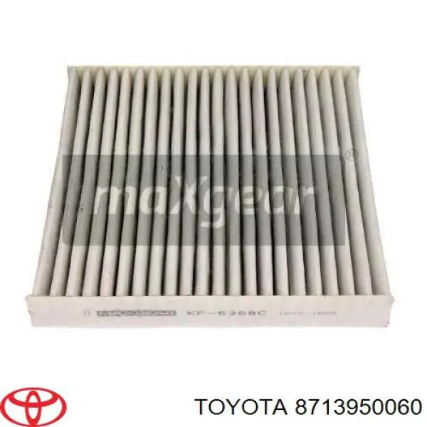 8713950060 Toyota Filtro antipolen
