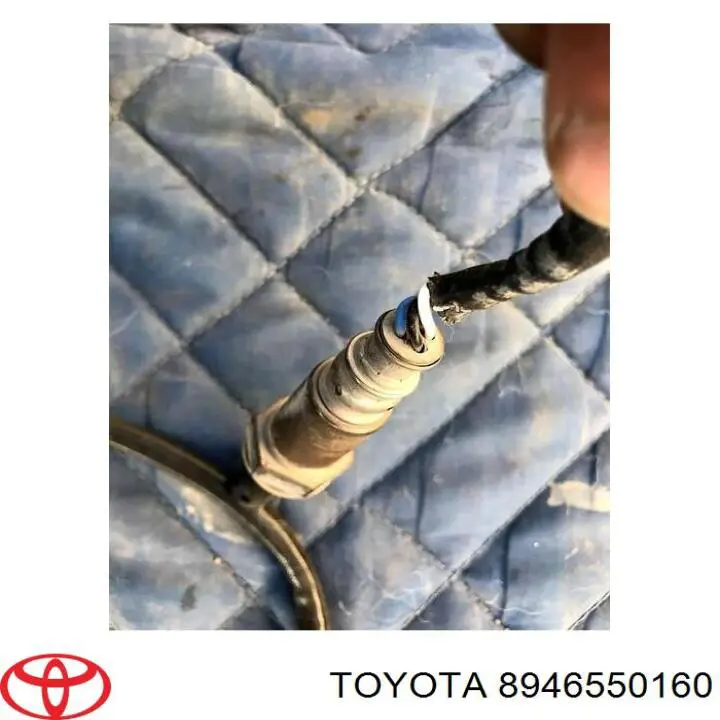 8946550160 Toyota 