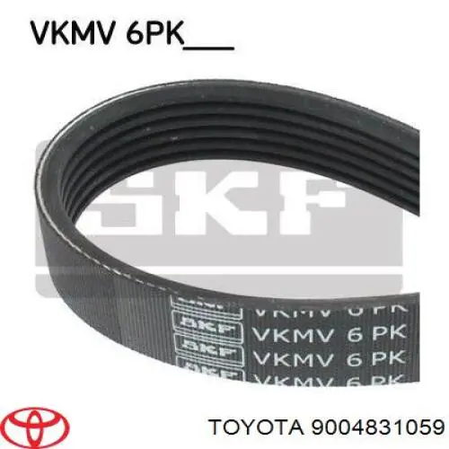 Correa de alternador PVB158006 Open Parts