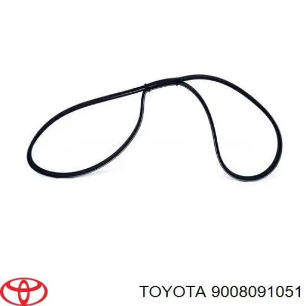 9008091051 Toyota correa trapezoidal