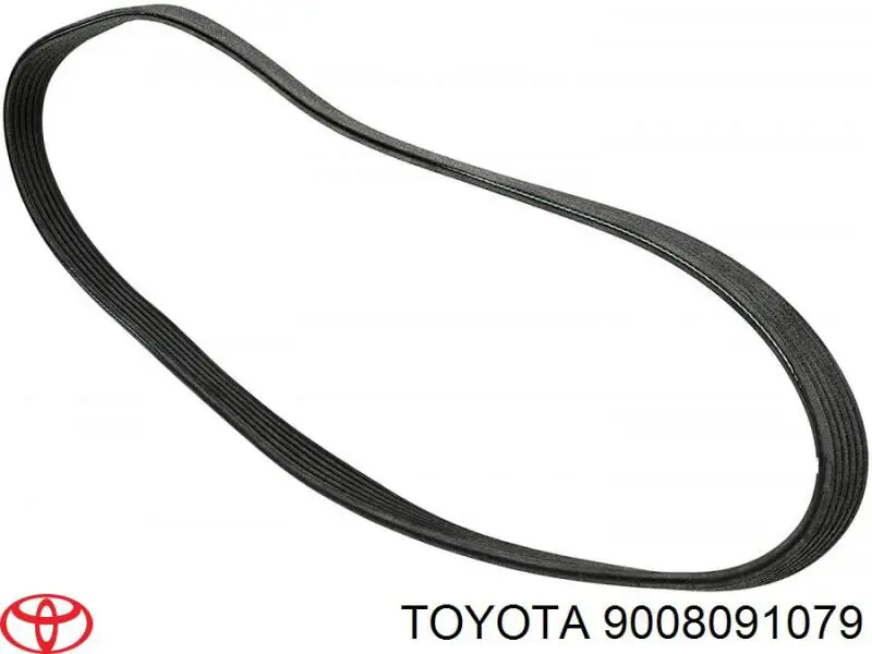 9008091079 Toyota correa trapezoidal