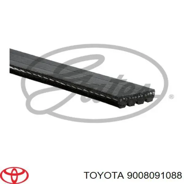 Correa accesorios Toyota 9008091088