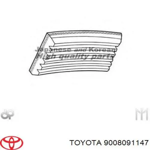 Correa de alternador F57Z8620A Ford