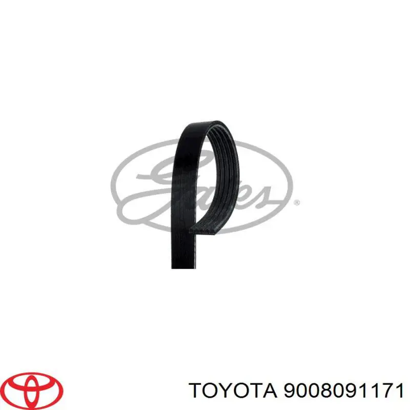 Correa de transmisión trapezoidal Ford 1026597 precio, desde 9,18 EUR