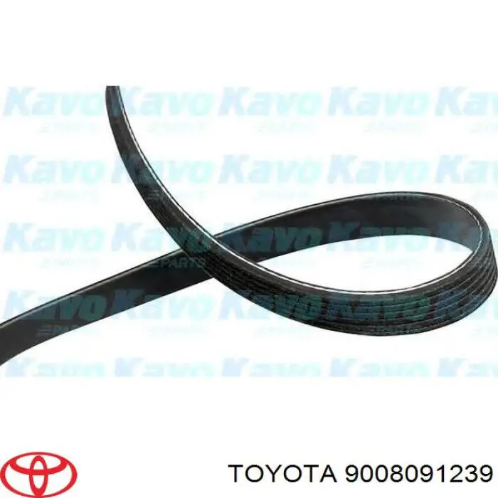 Correa de transmisión trapezoidal Toyota 9008091239 precio, desde 12,22 EUR