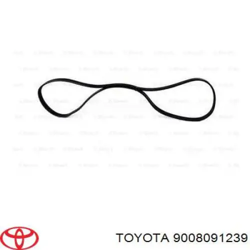 9008091239 Toyota correa trapezoidal
