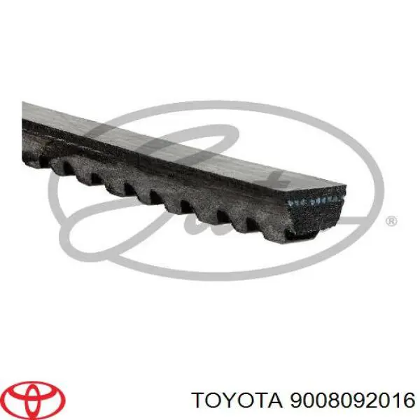 9008092016 Toyota Correa poly v