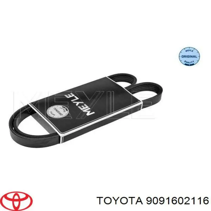 9091602116 Toyota correa trapezoidal