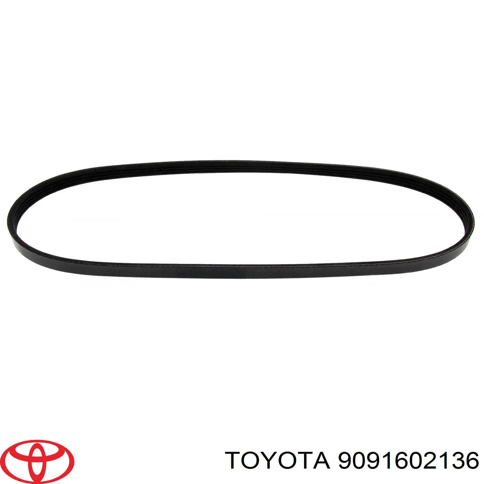 9091602136 Toyota correa trapezoidal