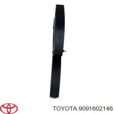 9091602146 Toyota correa trapezoidal