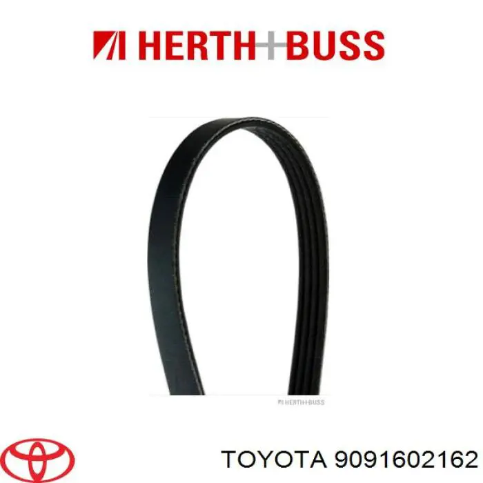 9091602162 Toyota correa trapezoidal