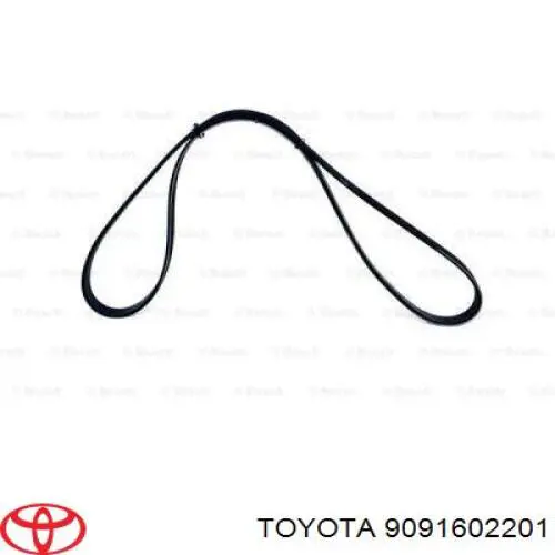 9091602201 Toyota correa trapezoidal