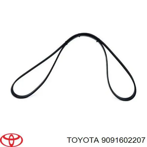 9091602207 Toyota correa trapezoidal