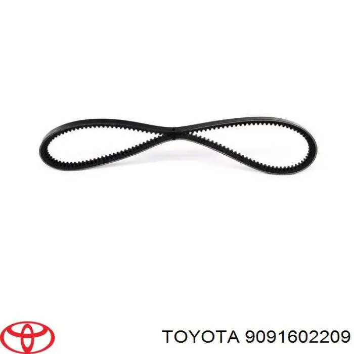 Correa de transmisión trapezoidal Toyota 9091602209 precio, desde 10,85 EUR