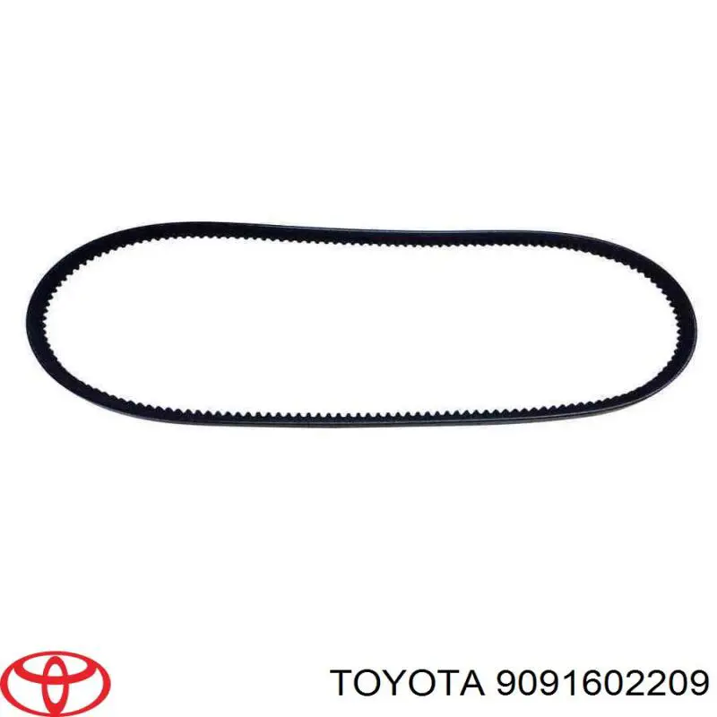 Comprar 9091602209 Toyota Correa trapezoidal