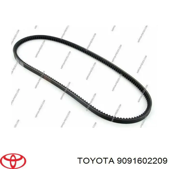 9091602209 Toyota Correa poly v