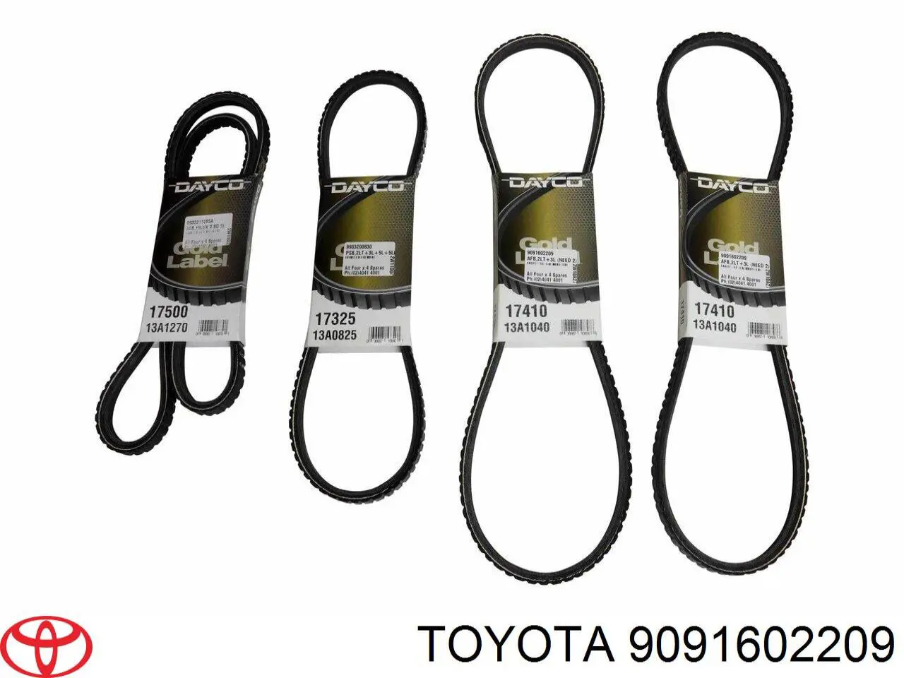 Correa de alternador 9091602209 Toyota