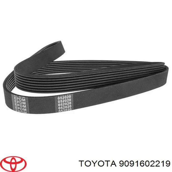 9091602219 Toyota correa trapezoidal