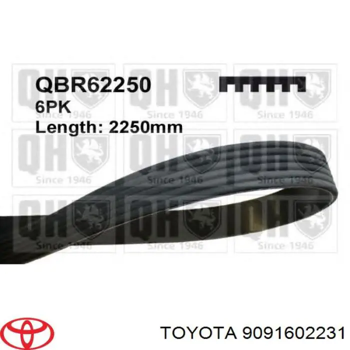 9091602231 Toyota correa trapezoidal