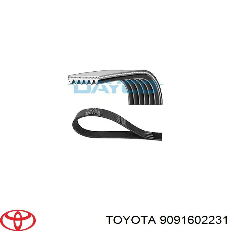 Comprar 4854033AC Chrysler Correa trapezoidal
