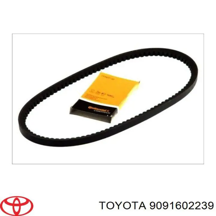 9934301215 Toyota correa trapezoidal