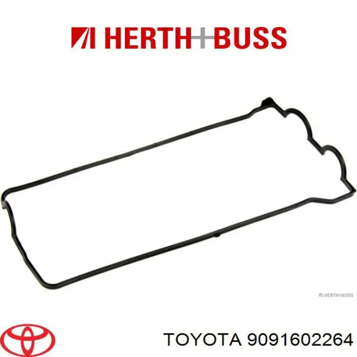 9091602264 Toyota correa trapezoidal