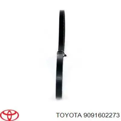 Correa de alternador 9091602273 Toyota