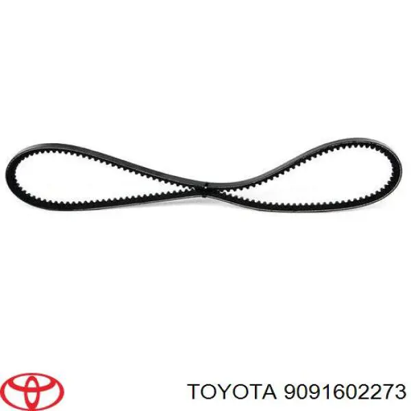 9091602273 Toyota correa trapezoidal