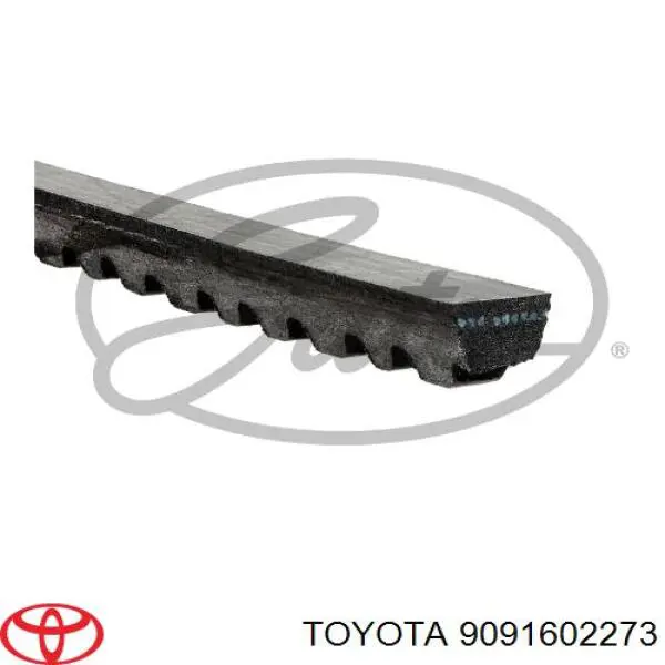 Correa de transmisión trapezoidal Toyota 9091602273 precio, desde 4,60 EUR