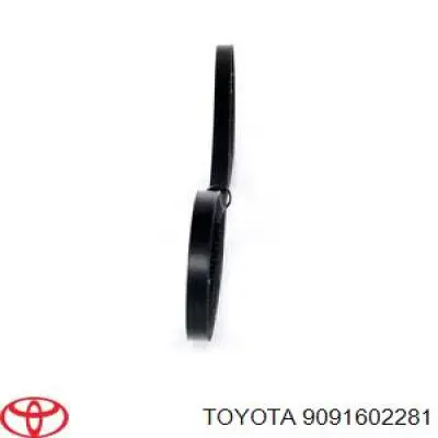9091602281 Toyota correa trapezoidal