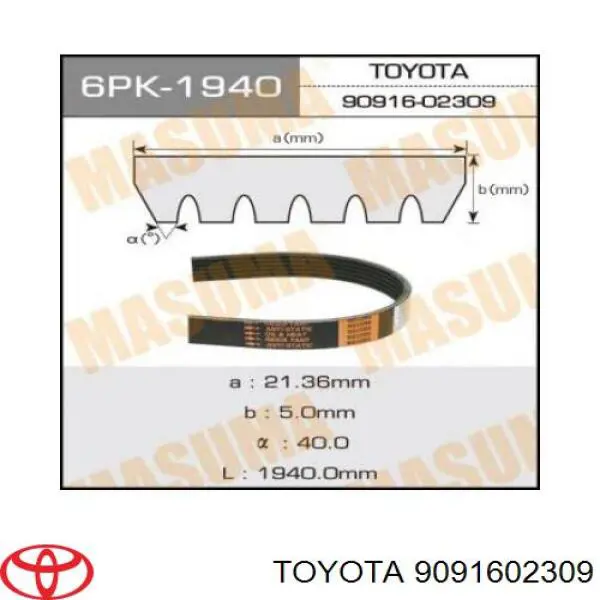 9091602309 Toyota correa trapezoidal