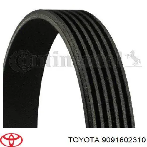 9091602310 Toyota correa trapezoidal