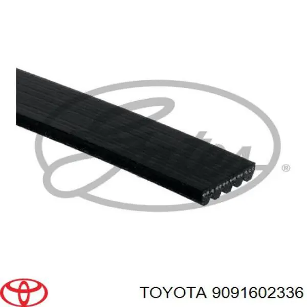 Correa accesorios Toyota 9091602336