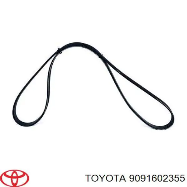 Comprar 9091602355 Toyota Correa trapezoidal