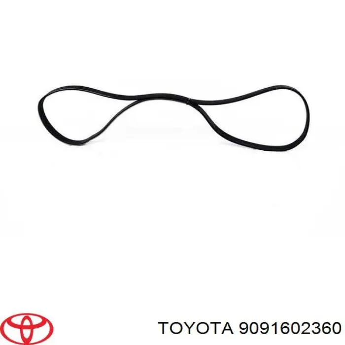 9091602360 Toyota correa trapezoidal