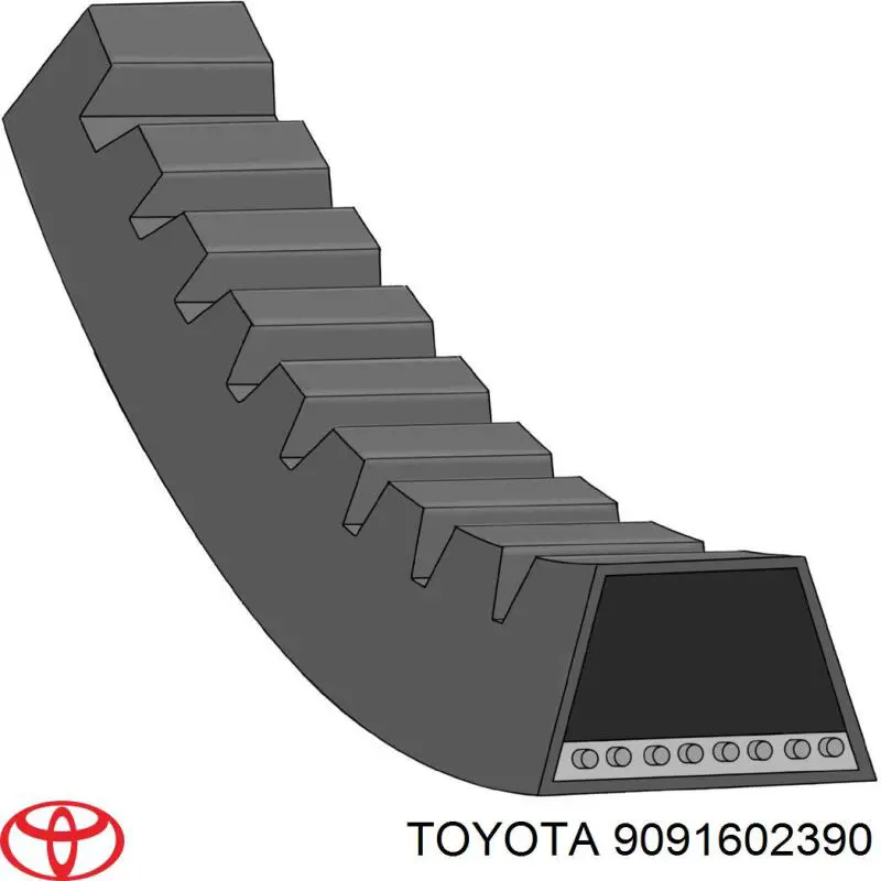 Correa de alternador 9091602390 Toyota