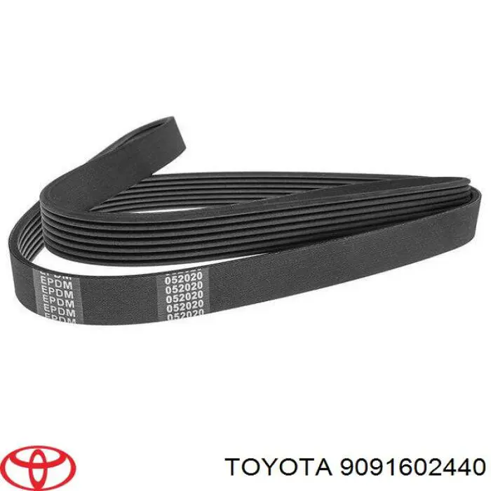 9091602440 Toyota correa trapezoidal