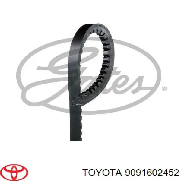 Correa de alternador 9091602452 Toyota