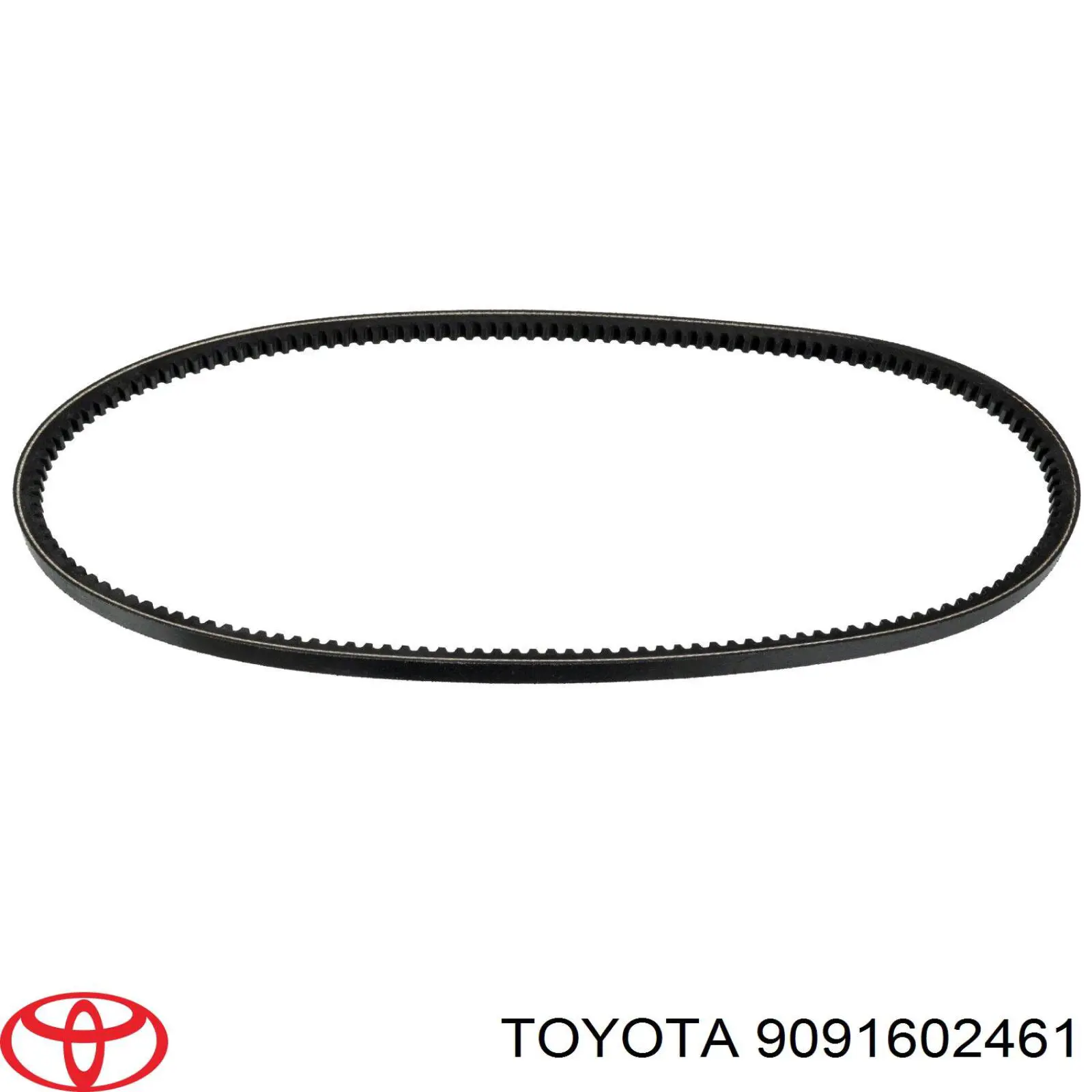 Correa de transmisión trapezoidal Toyota 9091602461 precio, desde 15,16 EUR