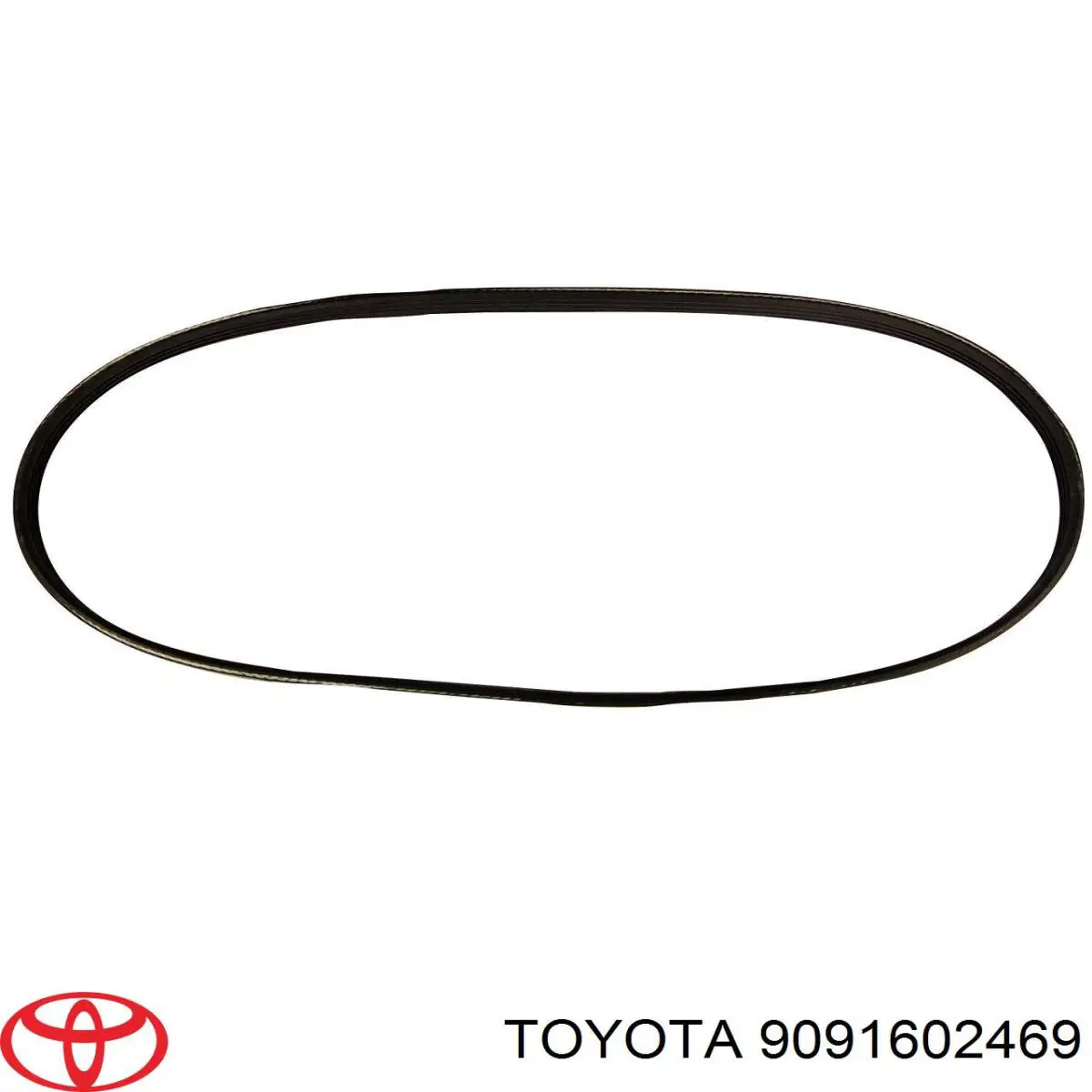 9091602469 Toyota Correa poly v