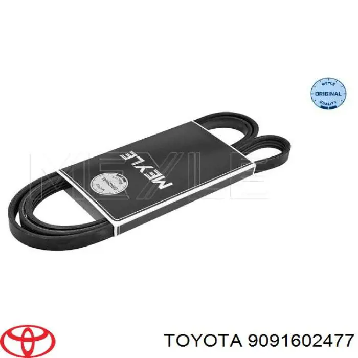 Correa accesorios INA FB4PK1708